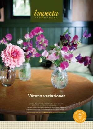 aftonbladet_bruce2023-20260221_000_00_00_009.pdf