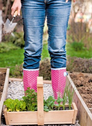 aftonbladet_bruce2023-20260221_000_00_00_010.pdf