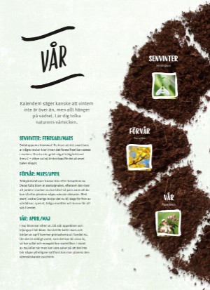 aftonbladet_bruce2023-20260221_000_00_00_011.pdf