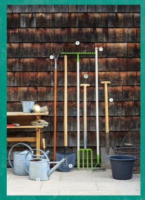 aftonbladet_bruce2023-20260221_000_00_00_015.pdf