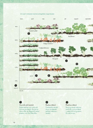 aftonbladet_bruce2023-20260221_000_00_00_020.pdf