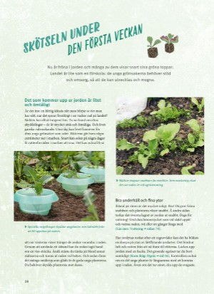 aftonbladet_bruce2023-20260221_000_00_00_028.pdf