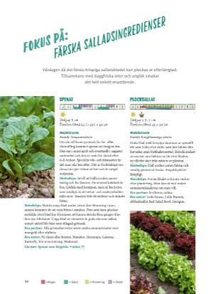 aftonbladet_bruce2023-20260221_000_00_00_030.pdf