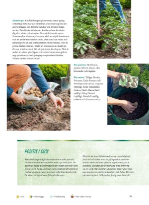 aftonbladet_bruce2023-20260221_000_00_00_035.pdf