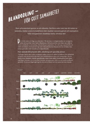 aftonbladet_bruce2023-20260221_000_00_00_036.pdf