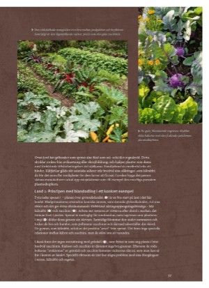 aftonbladet_bruce2023-20260221_000_00_00_037.pdf