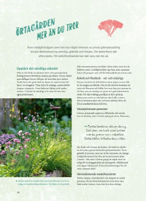 aftonbladet_bruce2023-20260221_000_00_00_038.pdf