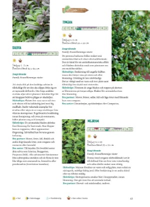 aftonbladet_bruce2023-20260221_000_00_00_043.pdf