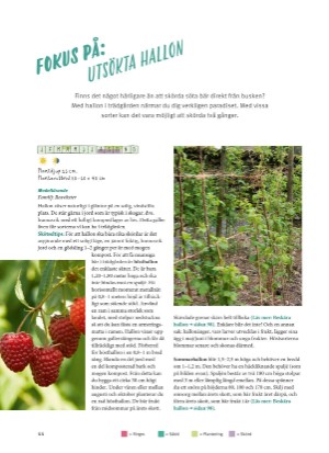 aftonbladet_bruce2023-20260221_000_00_00_044.pdf