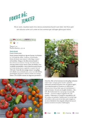 aftonbladet_bruce2023-20260221_000_00_00_050.pdf