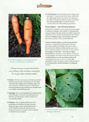 aftonbladet_bruce2023-20260221_000_00_00_053.pdf