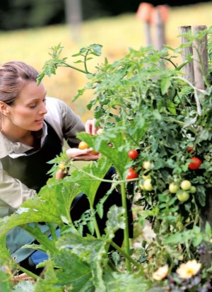 aftonbladet_bruce2023-20260221_000_00_00_054.pdf