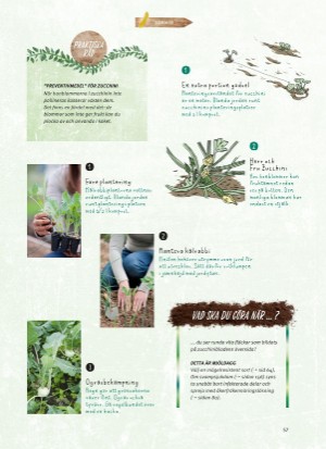 aftonbladet_bruce2023-20260221_000_00_00_057.pdf