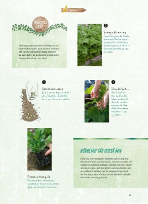 aftonbladet_bruce2023-20260221_000_00_00_061.pdf