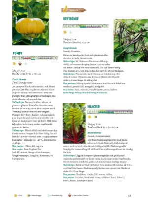 aftonbladet_bruce2023-20260221_000_00_00_063.pdf