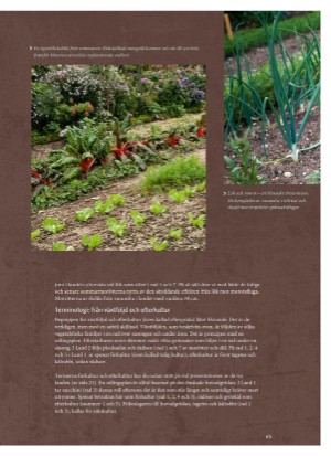 aftonbladet_bruce2023-20260221_000_00_00_065.pdf