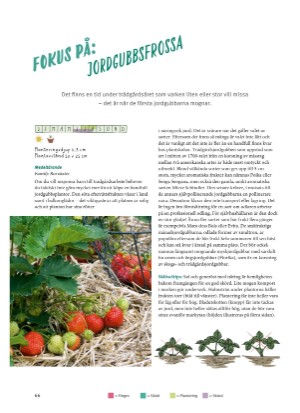 aftonbladet_bruce2023-20260221_000_00_00_066.pdf