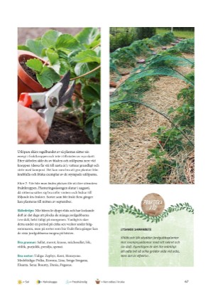 aftonbladet_bruce2023-20260221_000_00_00_067.pdf