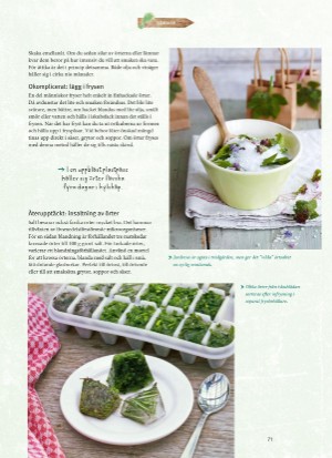 aftonbladet_bruce2023-20260221_000_00_00_071.pdf