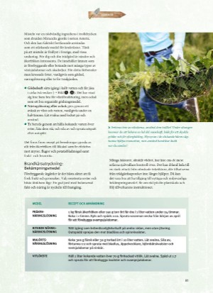 aftonbladet_bruce2023-20260221_000_00_00_081.pdf