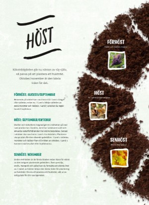 aftonbladet_bruce2023-20260221_000_00_00_083.pdf