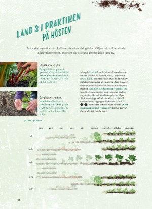 aftonbladet_bruce2023-20260221_000_00_00_088.pdf