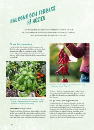 aftonbladet_bruce2023-20260221_000_00_00_090.pdf