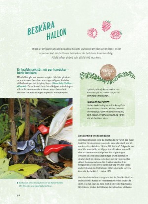 aftonbladet_bruce2023-20260221_000_00_00_098.pdf