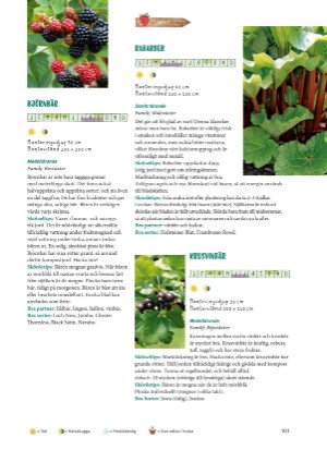 aftonbladet_bruce2023-20260221_000_00_00_103.pdf