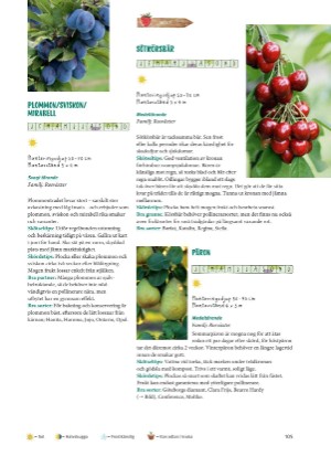 aftonbladet_bruce2023-20260221_000_00_00_105.pdf