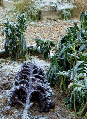 aftonbladet_bruce2023-20260221_000_00_00_106.pdf