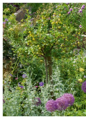 aftonbladet_bruce2023-20260221_000_00_00_110.pdf