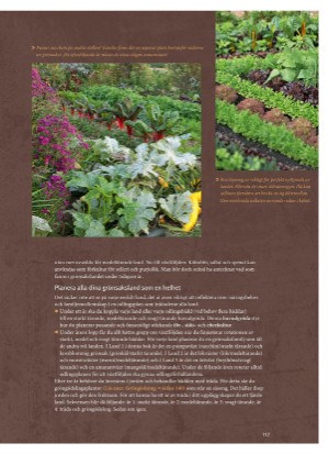 aftonbladet_bruce2023-20260221_000_00_00_117.pdf