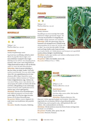 aftonbladet_bruce2023-20260221_000_00_00_123.pdf