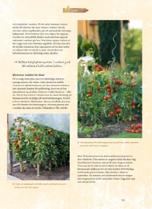 aftonbladet_bruce2023-20260221_000_00_00_125.pdf