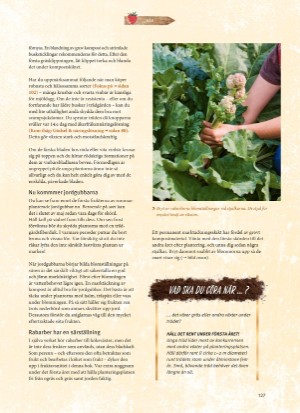 aftonbladet_bruce2023-20260221_000_00_00_127.pdf