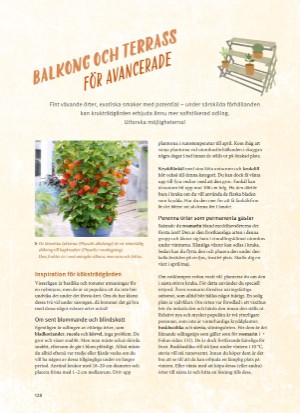 aftonbladet_bruce2023-20260221_000_00_00_128.pdf