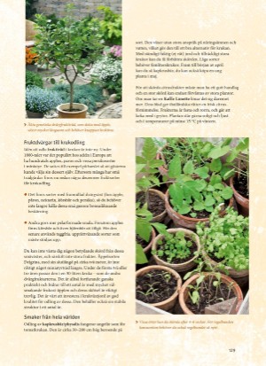 aftonbladet_bruce2023-20260221_000_00_00_129.pdf