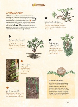 aftonbladet_bruce2023-20260221_000_00_00_135.pdf