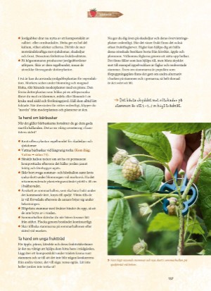 aftonbladet_bruce2023-20260221_000_00_00_137.pdf