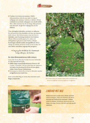 aftonbladet_bruce2023-20260221_000_00_00_147.pdf