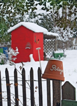 aftonbladet_bruce2023-20260221_000_00_00_150.pdf