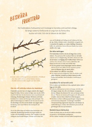 aftonbladet_bruce2023-20260221_000_00_00_152.pdf