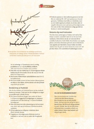 aftonbladet_bruce2023-20260221_000_00_00_153.pdf