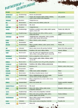 aftonbladet_bruce2023-20260221_000_00_00_160.pdf