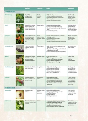 aftonbladet_bruce2023-20260221_000_00_00_161.pdf