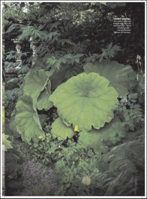 aftonbladet_hh-20110604_000_00_00_007.pdf