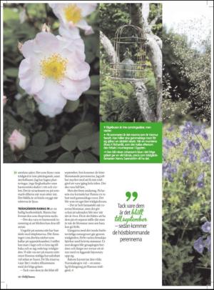 aftonbladet_hh-20110604_000_00_00_010.pdf