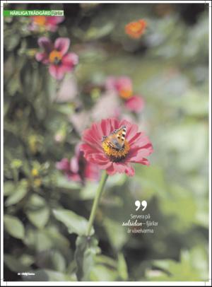 aftonbladet_hh-20110618_000_00_00_060.pdf