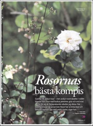 aftonbladet_hh-20110716_000_00_00_057.pdf